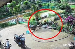 Bé trai 4 tuổi ở Tuyên Quang hô hoán, cứu em gái 2 tuổi thoát khỏi đuối nước