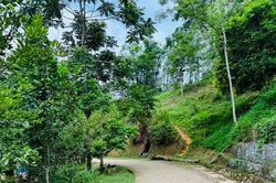 Thông tin tri thức mở lối thoát nghèo cho người dân vùng cao Canh Tân