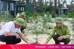 Gian nan phủ xanh lại những cánh rừng phòng hộ ven biển