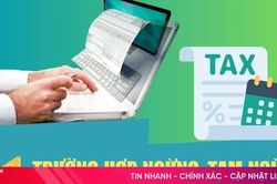 [Motion graphic] 11 trường hợp ngừng, tạm ngừng sử dụng hóa đơn điện tử