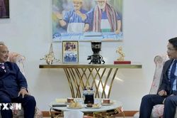Việt Nam chia sẻ kinh nghiệm hỗ trợ Timor Leste chuẩn bị cho Năm Chủ tịch ASEAN