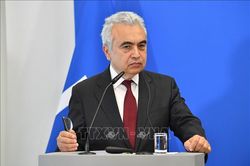 IEA: Chậm điện khí hóa - 'Gót chân Achilles' của châu Âu