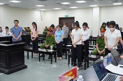 Che giấu doanh thu, hợp thức hóa dòng tiền trong vụ thực phẩm giả tại Công ty Herbitech
