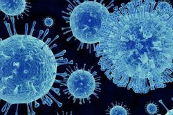 Bồ Đào Nha ghi nhận ổ dịch norovirus, ảnh hưởng hơn 120 người