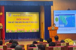 Công bố kết quả tổng điều tra kinh tế 2026
