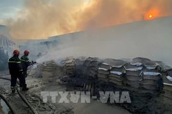 TP. Hồ Chí Minh cảnh báo nguy cơ hỏa hoạn do thời tiết cực đoan