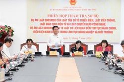 Phó Chủ tịch Quốc hội Nguyễn Hồng Diên: Không hạ thấp chất lượng xây dựng pháp luật