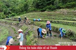 M&ugrave;a nắng đổ tr&ecirc;n non