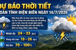 Bản tin Dự báo thời tiết ngày 14/7/2026