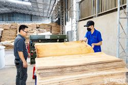 Góp sức xây dựng nền kinh tế tự lực, tự cường