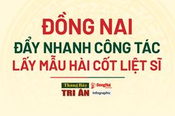 [Chuỗi Infographic] Tháng Bảy tri ân: Đồng Nai đẩy nhanh công tác lấy mẫu hài cốt liệt sĩ