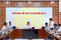 Họp triển khai công tác tổ chức Liên hoan quốc tế Võ cổ truyền Việt Nam lần thứ IX tại Gia Lai
