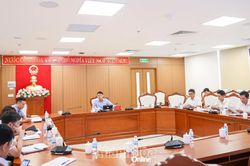 Đôn đốc tiến độ giải phóng mặt bằng Dự án Khu trường học, đào tạo và dạy nghề Bắc Hòn Ông