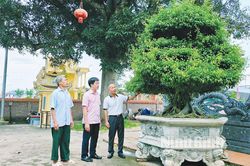 Vị Khê tăng cường công tác tuyên giáo, tạo đồng thuận xã hội