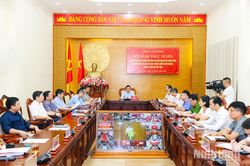 Tích cực tham mưu chỉ đạo xử lý những vấn đề phức tạp, nhạy cảm về nội chính