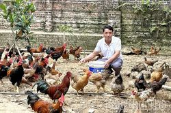 Kỳ 2 - Vì cộng đồng dân tộc thiểu số phát triển bền vững