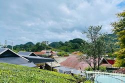Ước mơ ở lưng chừng núi