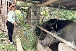 Chương trình mục tiêu quốc gia: Tạo động lực để người dân thay đổi tư duy