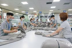 TNG đạt doanh thu trên 4.800 tỷ đồng, tăng trưởng 20,5%