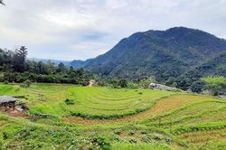 Tào Lường – nguyên mẫu làm nên trang viết của Tô Hoài