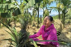 'C&oacute; sức người, sỏi đ&aacute; cũng th&agrave;nh cơm...'
