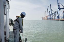 Công bố tần suất khảo sát vùng nước trước bến cảng, luồng hàng hải