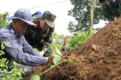 Vĩnh Long: Lần theo dấu vết nghĩa trang cũ t&igrave;m h&agrave;i cốt liệt sĩ