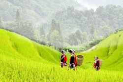 Thu nhập bình quân của người Việt đạt 6 triệu đồng/tháng
