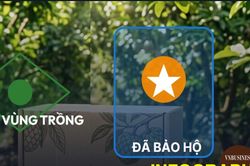 Cần Thơ thúc đẩy sở hữu trí tuệ, nâng sức cạnh tranh cho HTX