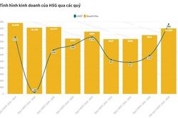 Hoa Sen vượt kế hoạch lợi nhuận năm chỉ sau 9 tháng