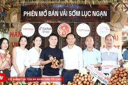 Bắc Ninh tăng cường công tác quản lý nhà nước về thương mại điện tử
