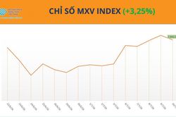 Thị trường hàng hóa: Giá cà phê, đậu tương tăng vọt, MXV-Index nối dài đà khởi sắc