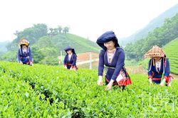 Việt Nam luôn cam kết mạnh mẽ thực hiện các công ước quốc tế về con người