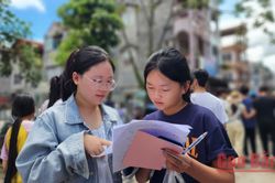 Toàn tỉnh có 1.843 bài thi tuyển sinh lớp 10 đạt từ 8 điểm trở lên