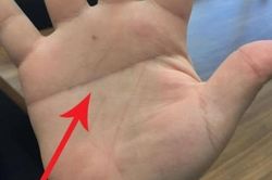 Các cụ nói: 'Tay nam một đường là vàng bạc, tay nữ một đường bỏ người nuôi', là đường nào?