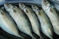 3 loại cá nhiều thịt, ít xương đang vào mùa ngon nhất, đi chợ thấy đừng bỏ lỡ