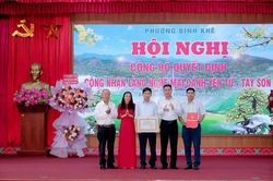 Quảng Ninh: Công nhận Làng nghề Mai cảnh Yên Tử - Tây Sơn
