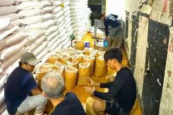 C&agrave; Mau: Triệt ph&aacute; cơ sở sản xuất đường giả quy m&ocirc; lớn, thu giữ khoảng 70 tấn h&agrave;ng h&oacute;a