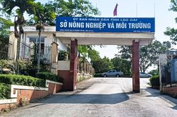 Phát hiện cán bộ Sở Nông nghiệp và Môi trường Lào Cai tử vong tại trụ sở