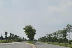 Tuyến đường dang dở trở thành điểm đổ trộm, tập kết rác thải