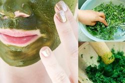 C&aacute;ch trị n&aacute;m bằng ngải cứu v&agrave; những lưu &yacute; khi sử dụng