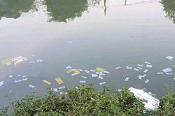 Huế quy định tổ chức lễ tang không quá 72 giờ, cấm rải vàng mã