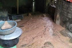 Nhiều địa phương thiệt hại nặng nề do mưa lớn và sạt lở, thủy điện Tuyên Quang đóng cửa xả đáy ứng phó