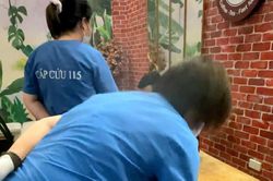 Nữ điều dưỡng trưởng cứu nam thanh niên ngừng tuần hoàn trong quán cà phê