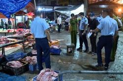 Hà Nội siết chặt quản lý hoạt động giết mổ, kinh doanh động vật, sản phẩm động vật