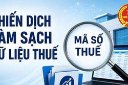 Ngành Thuế tăng tốc triển khai Chiến dịch 'Làm sạch mã số thuế'