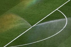 Bán cỏ sân World Cup, FIFA bị chê tận thu