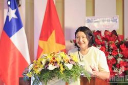 Thúc đẩy mối quan hệ hữu nghị truyền thống, hợp tác toàn diện giữa Việt Nam và Chile