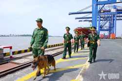 Bộ đội Bi&ecirc;n ph&ograve;ng TP Hồ Ch&iacute; Minh: N&acirc;ng cao hiệu quả quản l&yacute; cửa khẩu cảng, chống khai th&aacute;c IUU