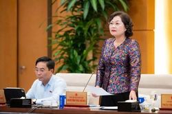 Đề xuất mở rộng các hành vi không được thực hiện bằng ngoại hối